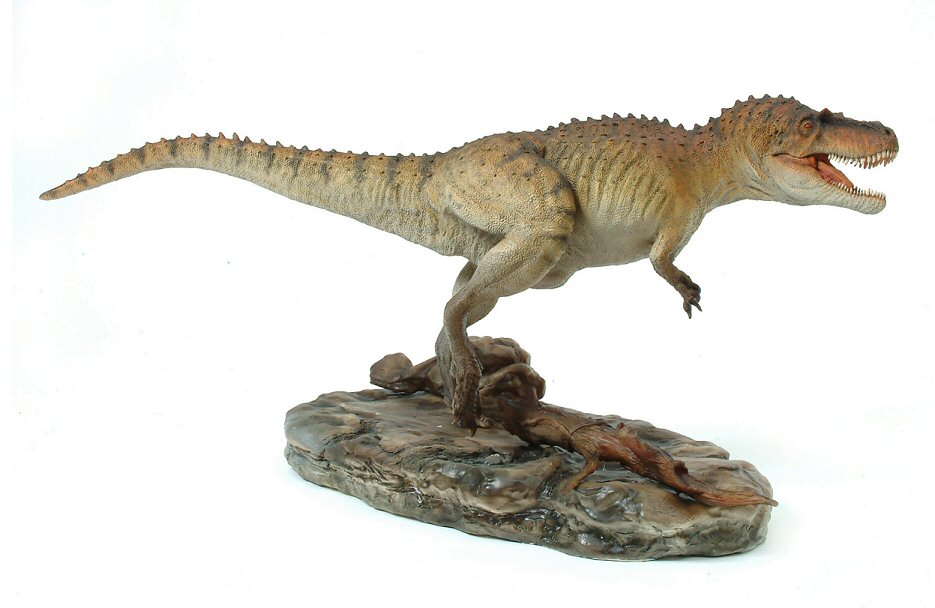 Albertosaurus.jpg