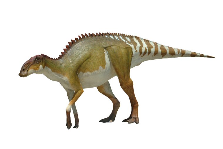 dino7.jpg